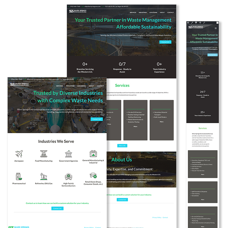 silver springs full website image