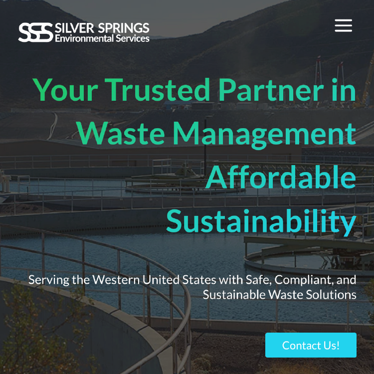 silver springs image